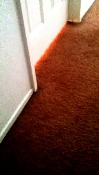 FNAF 2 in real life