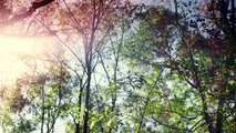 Horseback Riding in Goethe State Forest