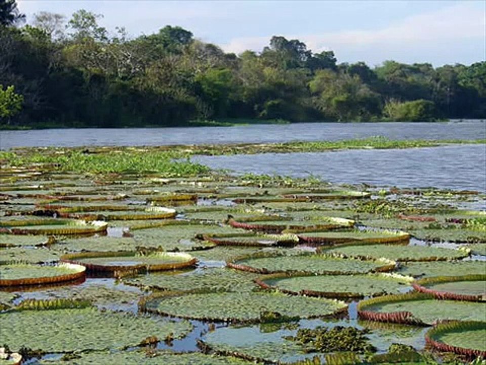 Massacre at Ramree Island