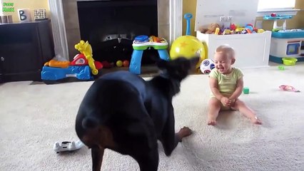 Migliori Bambini E Animali. Compilazione [HD]