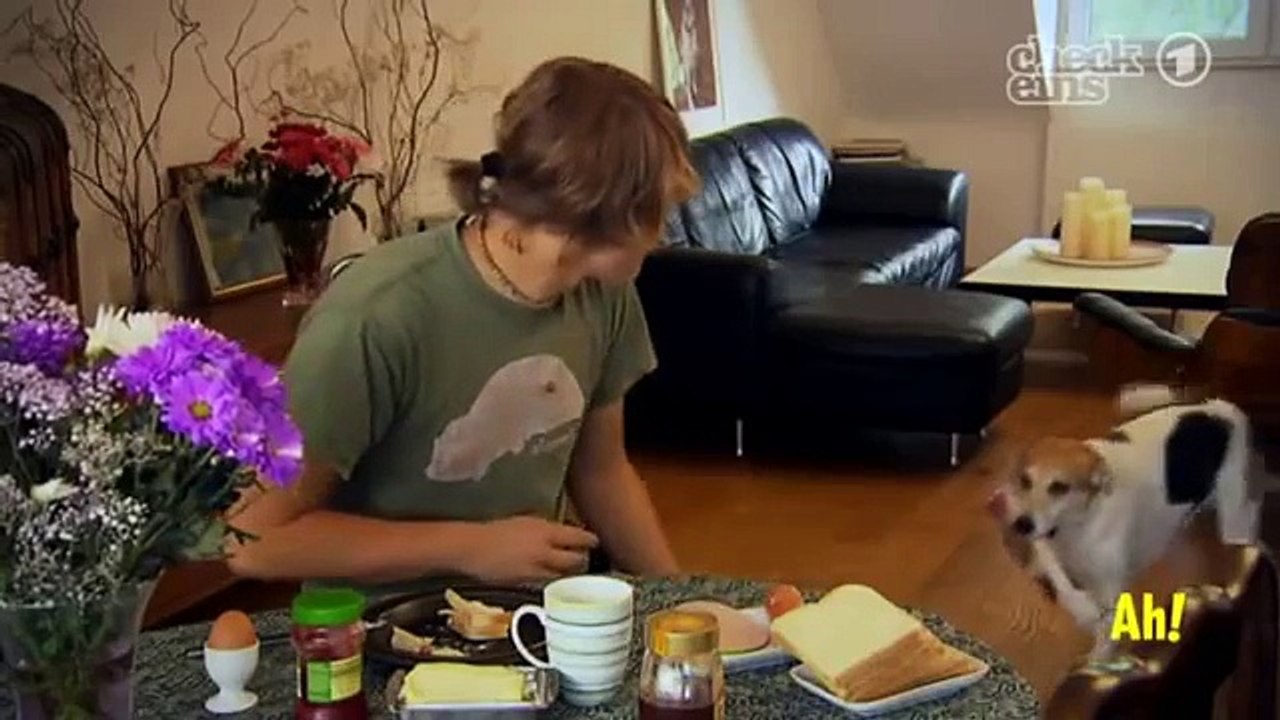 Warum ist der Hund der beste Freund des Menschen? | Wissen macht Ah! | DAS ERSTE | WDR