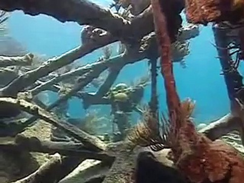 PADI Scuba Diving Lessons:  PADI Wreck Diver Course