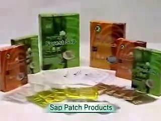 Bestgreen Detox Foot Pads