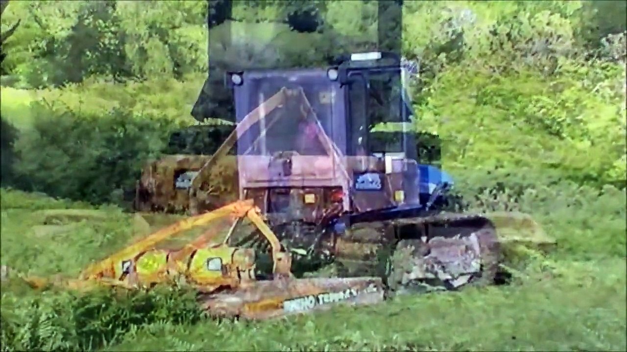 Bracken cutting