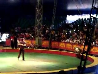 Circo los valentinos (Baile de los Ponis)