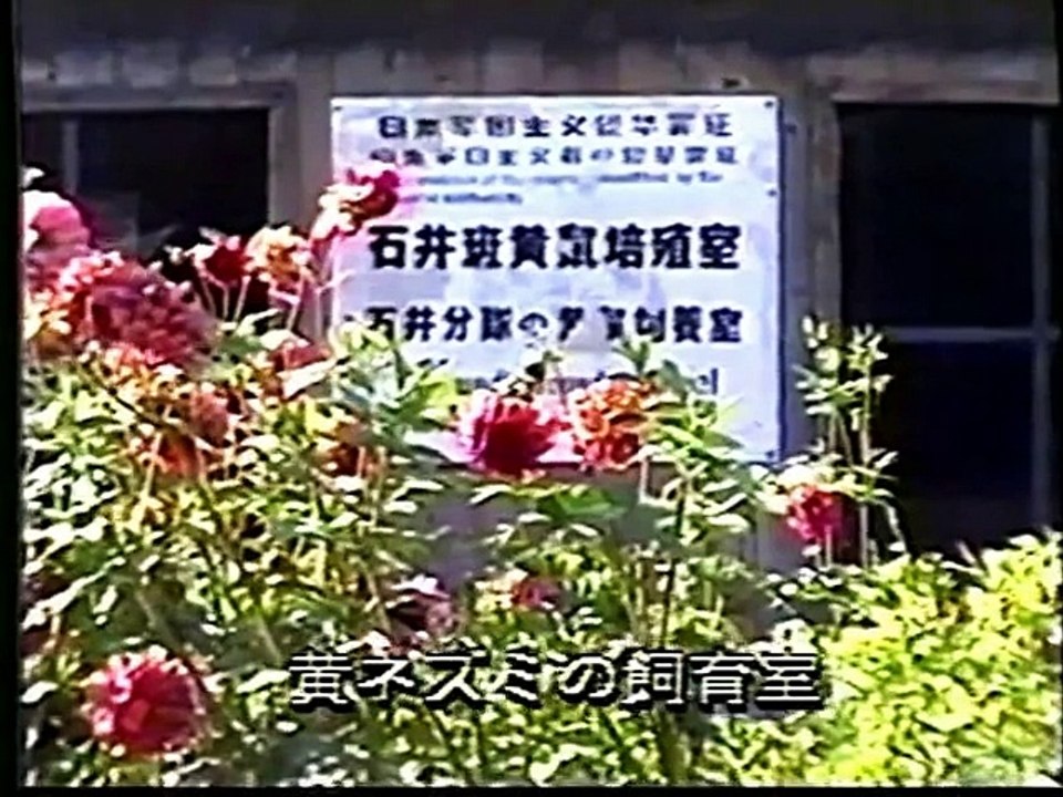 細菌兵器　ペストのみ（PX)