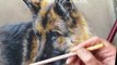 Speed Painting - Dog in Pastels - German Shepherd