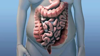 What Causes Constipation & Poo Flow