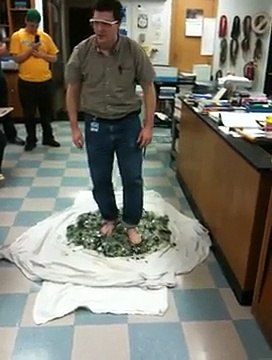 Walking Barefoot on Broken Glass - Not Paranormal, Just Physics