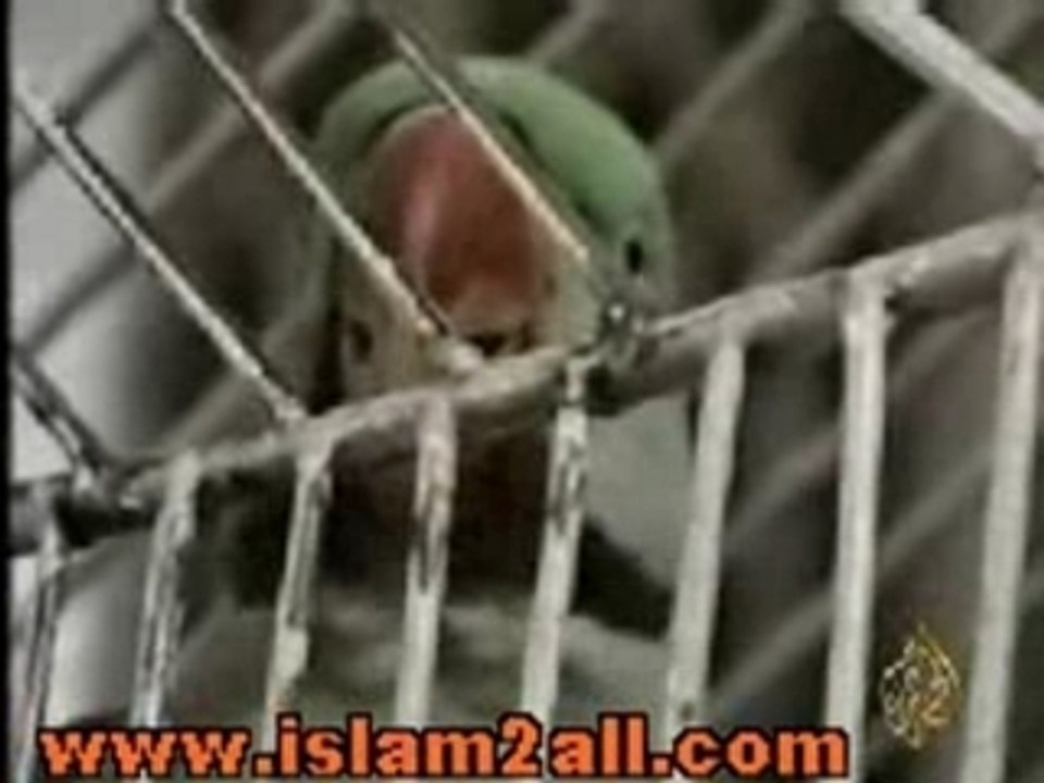 Sobhana allah!