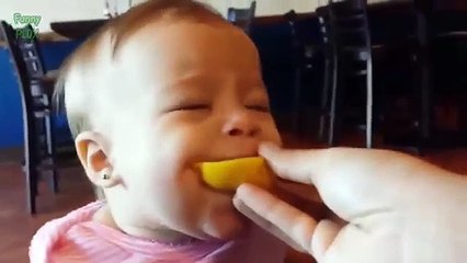Babies Eating Lemons for first time
