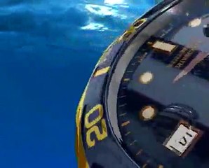 Invicta Pro Diver