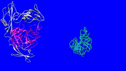 Understanding the Mechanism of Streptokinase