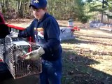 Raccoon mauls Clay Alabama boy