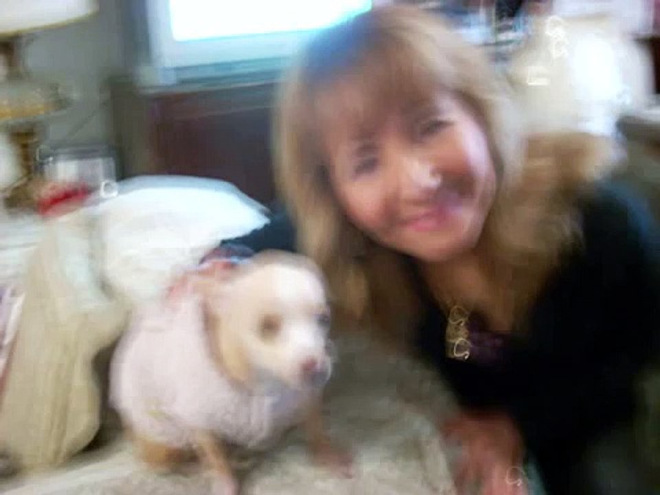 Seres de Luz o Energías Puras captados en fotografía