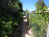 Kailua Beach Walk