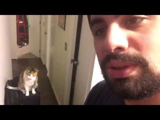 @Vardoc Random Life ( Parte 771 ) : Sopaipillas :3! 12/07/2015