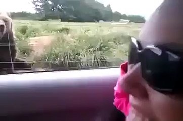 The most friendly Bear in the World!!!