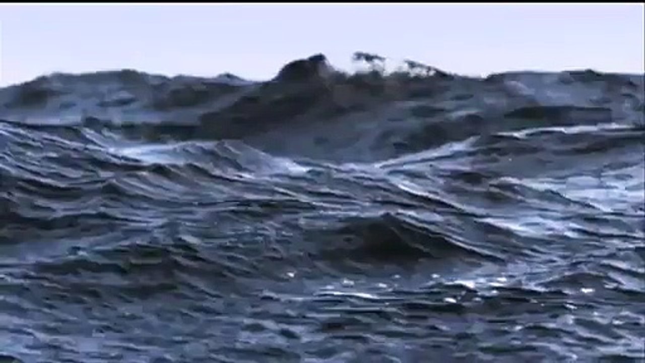 Flying Fish In UK -