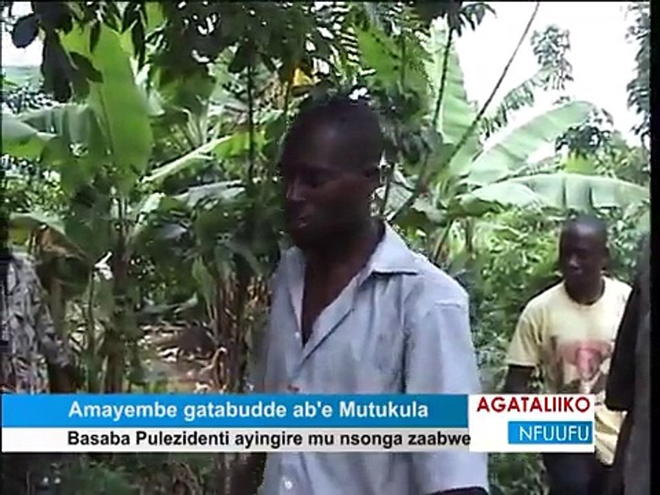 Mayembe mutukula