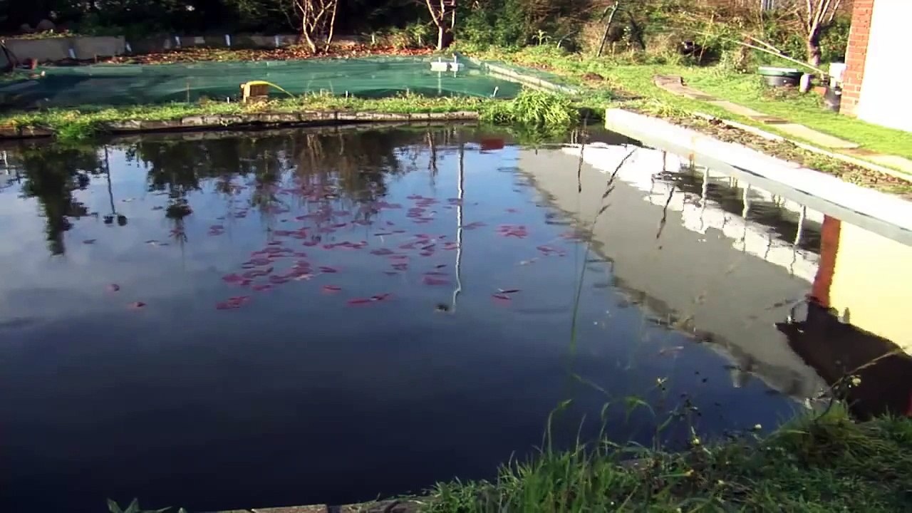 Aquarienpflanzen mit Tradition - Hans Barth, Oliver Krause, Dessau