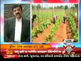 Netafim India's agronomy expert at 