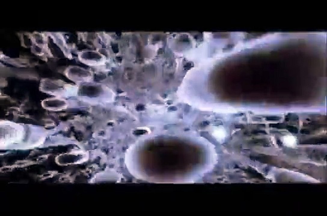 Dolphin's intercourse lasts seconds, Rate My Science
