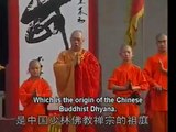 Shaolin kung fu basic moves 5