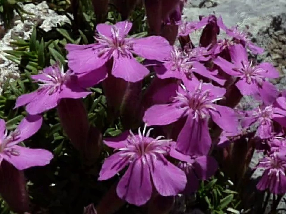 P1050493