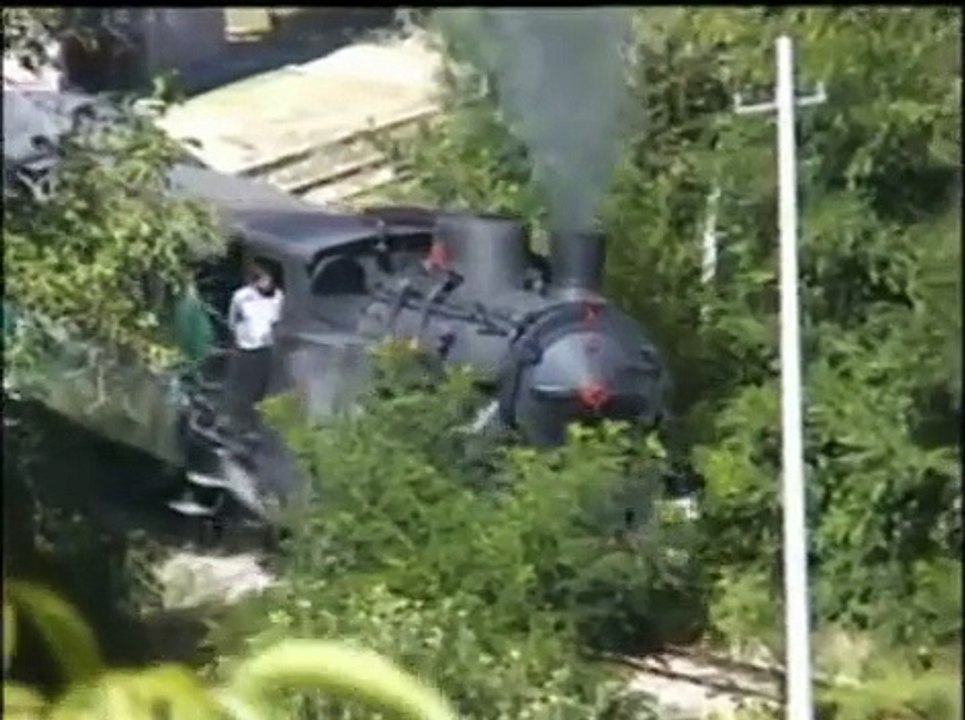 Treno a vapore in Sila (2)