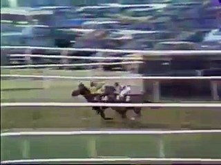 Secretariat Triple Crown Winner: Belmont Stakes