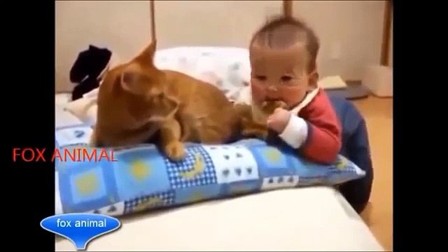 Crazy animals attack humans Animal attacks on humans caught on tape