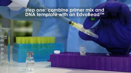 Performing the Polymerase Chain Reaction (PCR) - Edvotek Video Tutorial