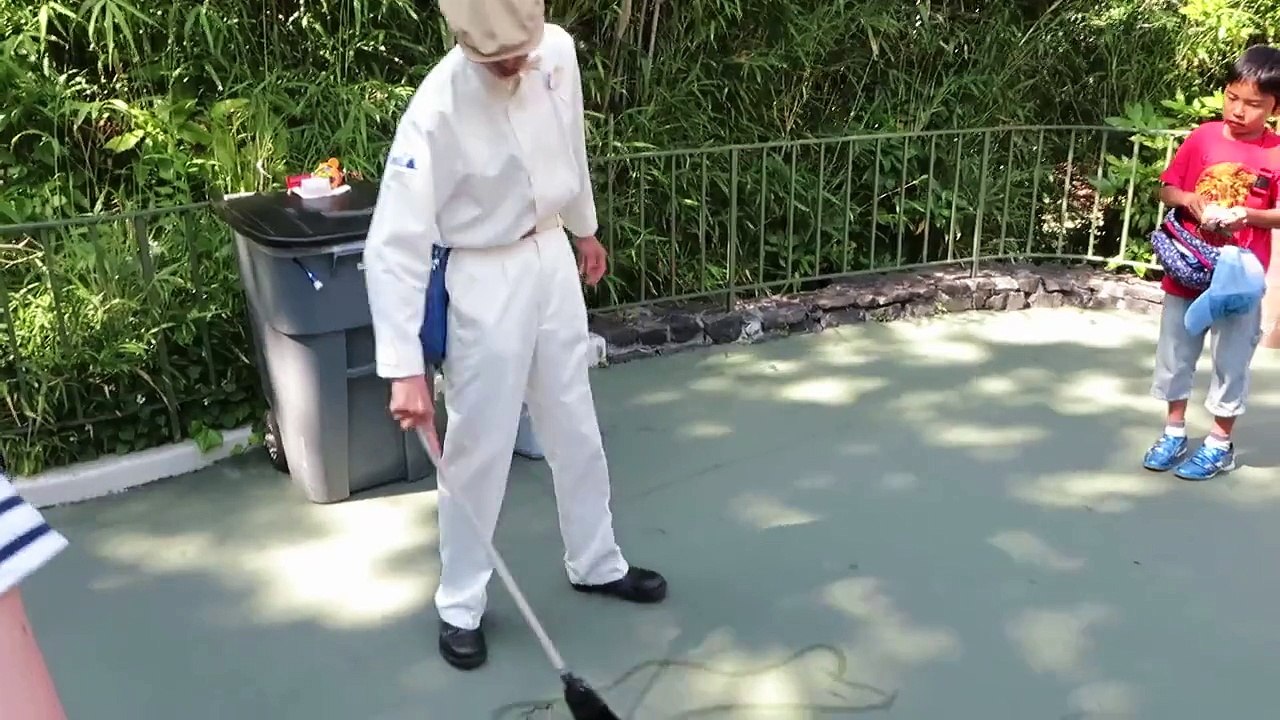 ディズニーランドのクリーニングスタッフは凄い