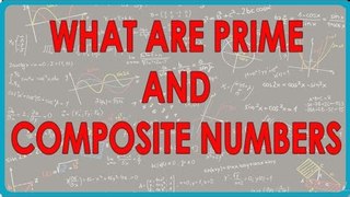 D - Maths Help : Class VI - What are Prime and composite numbers