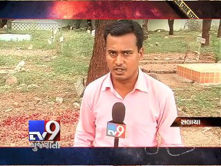 CRIME WATCH: Three-year old killed by mother's lover, Dwarka