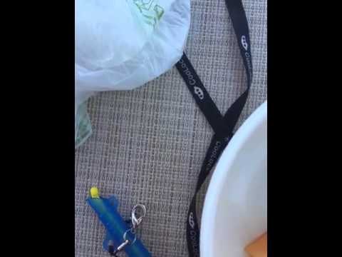 MeteoReporter Rosignano Solvay 11/07/2015