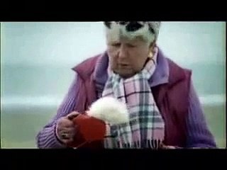 Animales graciosos de comerciales y películas