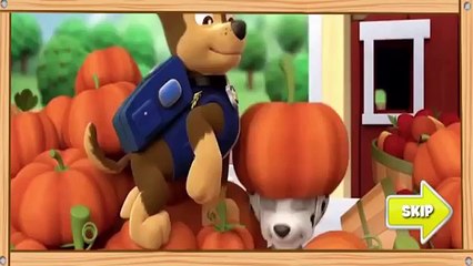 2014 Paw Patrol GAMES   Paw Patrol Cartoon Games Compilation 1