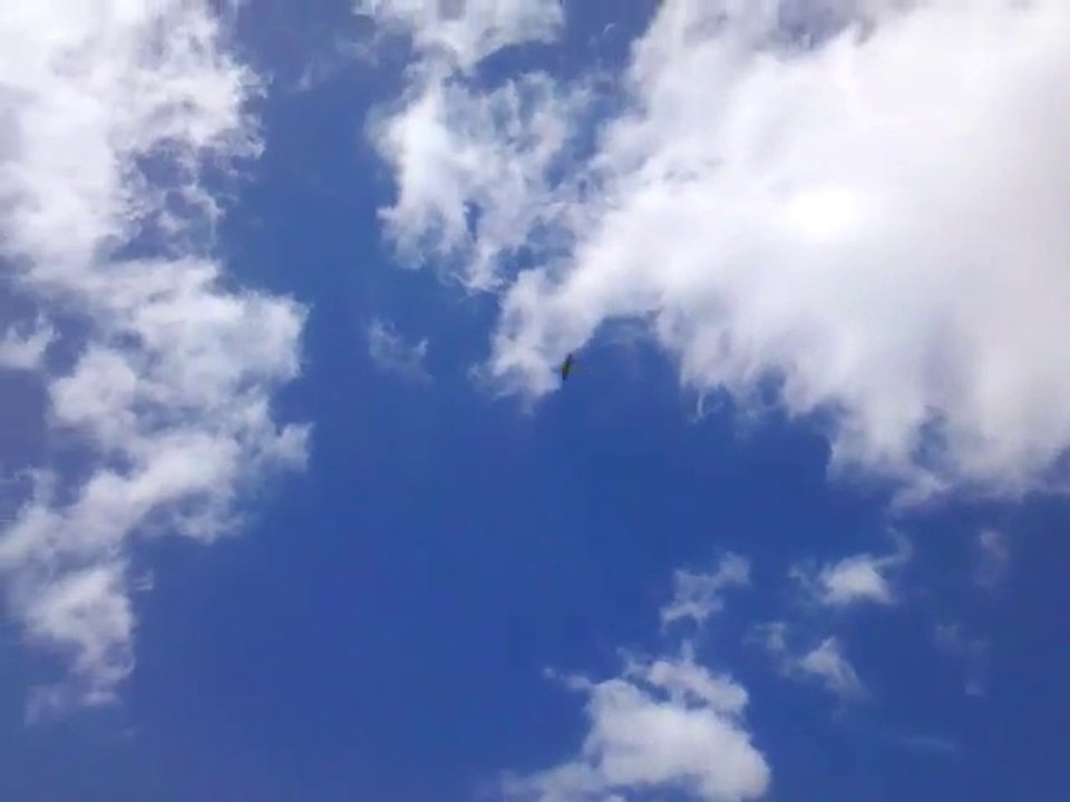 Tiger Moth Tremuson 1er vol