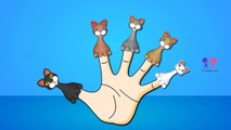 Finger Family Cat | Finger Family Songs | Animals Finger Family Cartoon Animation Rhymes for kids