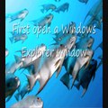 How to: Make Windows Show Hidden Files and Folders (Vista/7)