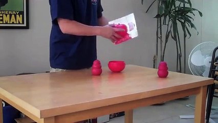 KONG Wobbler Dog Toy Review