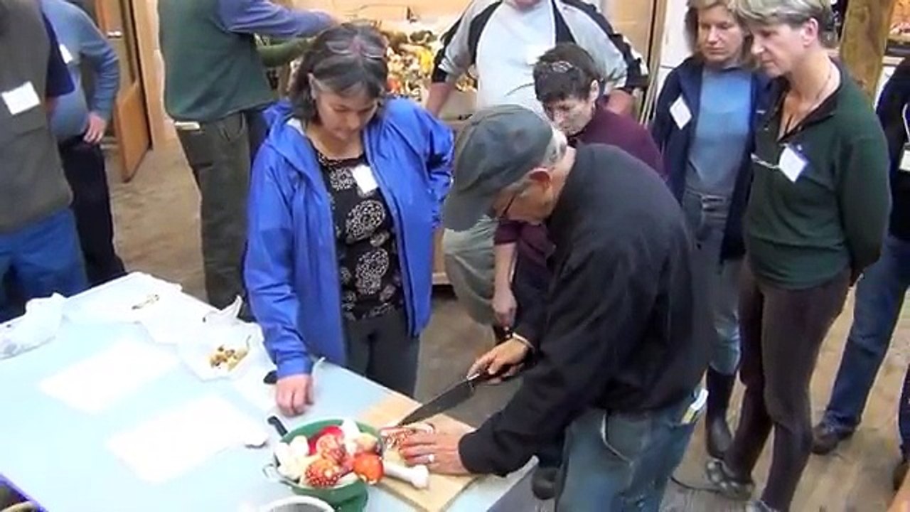 I Ate Amanita Muscaria Mushrooms with David Arora!