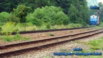 Trenuri in Judetul Bihor Vol.13 - Trains in Bihor County Vol.13
