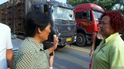 Chinese woman saves over 3000 dogs facing slaughter for food