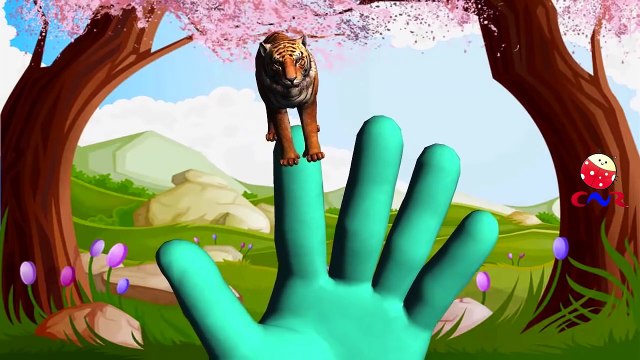 Finger Family Rhymes with Lion Tiger Cheetah | Animal Cartoons Finger Family Children Nursery Rhymes