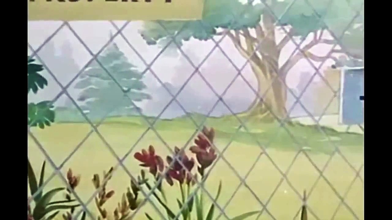 Tom and Jerry 095 Smarty Cat Cartoon 1955 HD