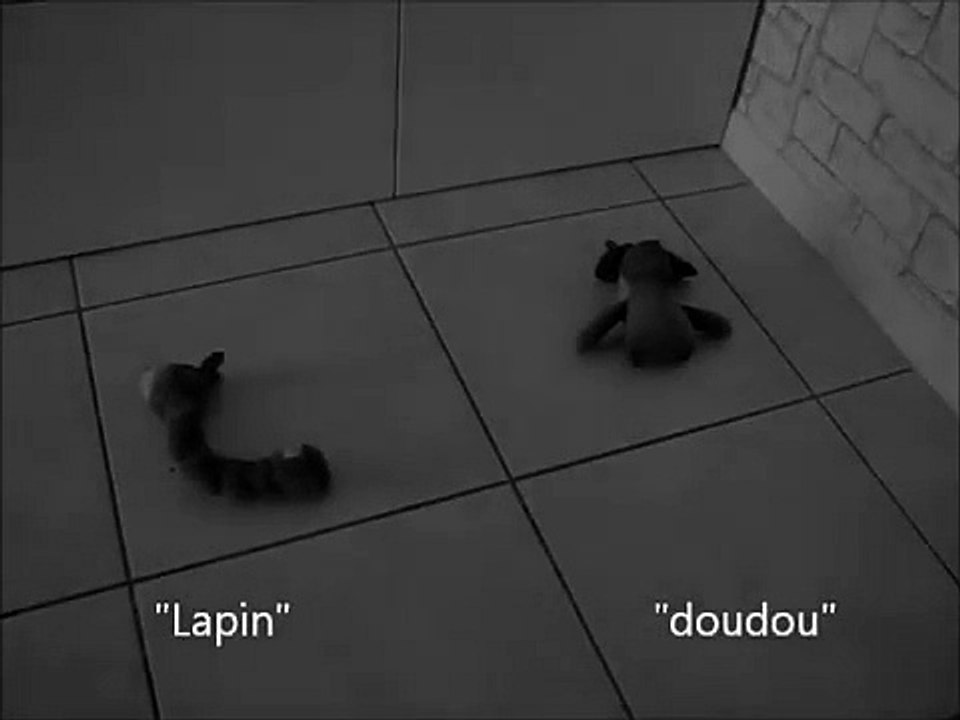 "doudou ou lapin ?" apprenez à votre chien à différencier ses jouets