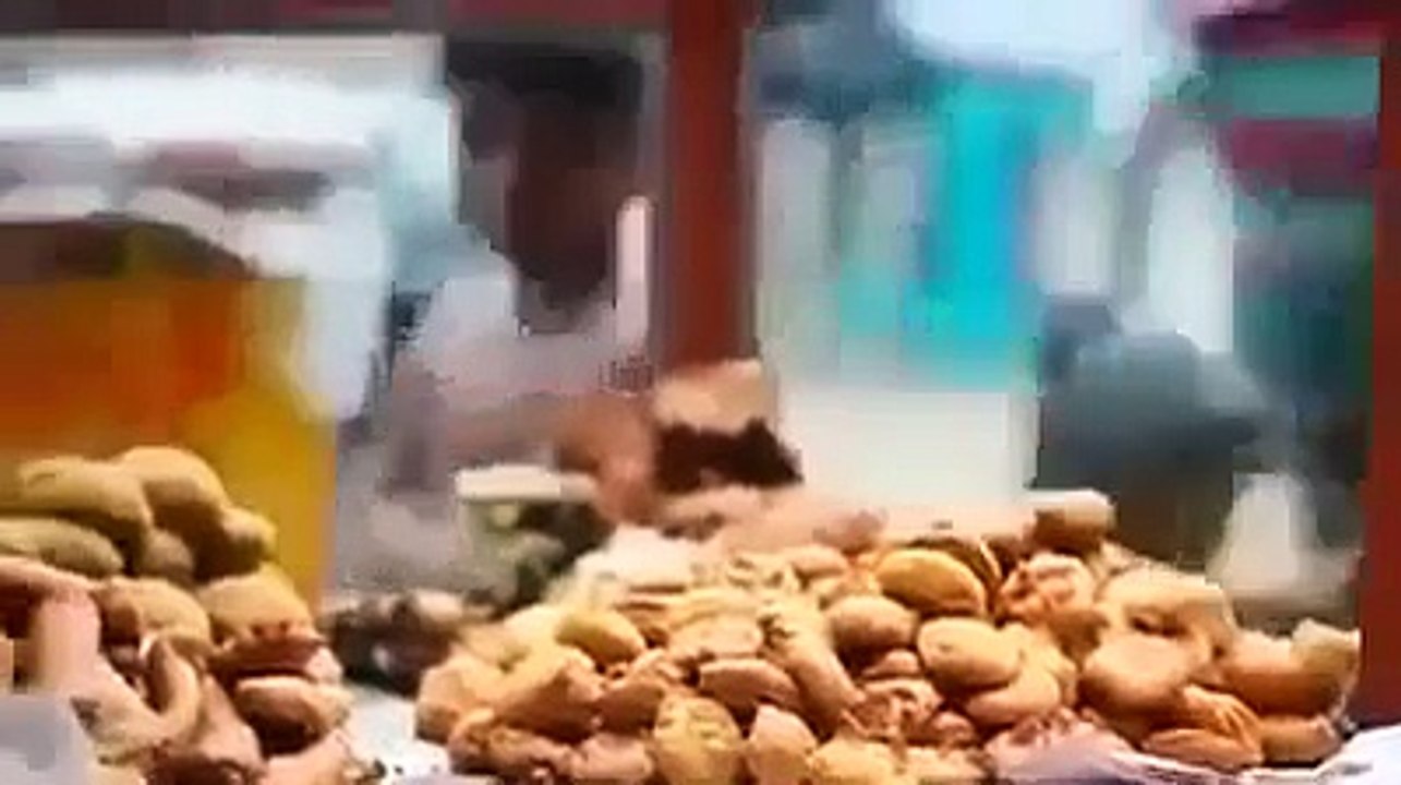 A do ti permbash lotet!